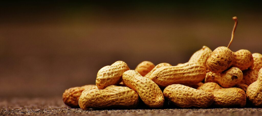 A focused close-up of unshelled peanuts on a rustic surface with earthy tones.